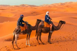 Tourisme écologique au Maroc 2025: Voyager responsablement dans un pays riche en diversité